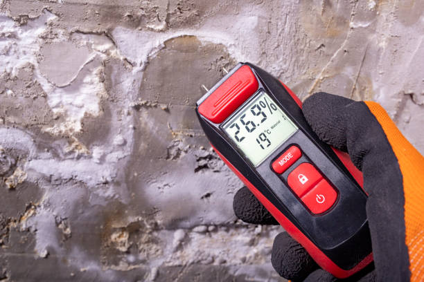 Best Black Mold Removal  in Coleraine, MN
